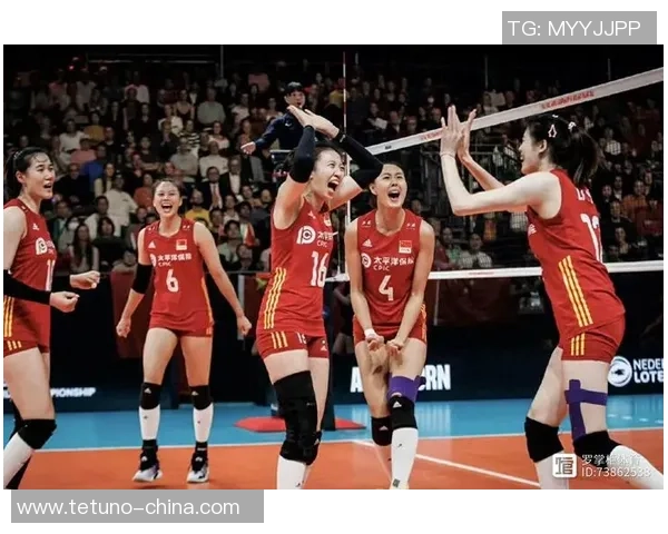 广州排球队在全国锦标赛中的默契配合与战术执行分析